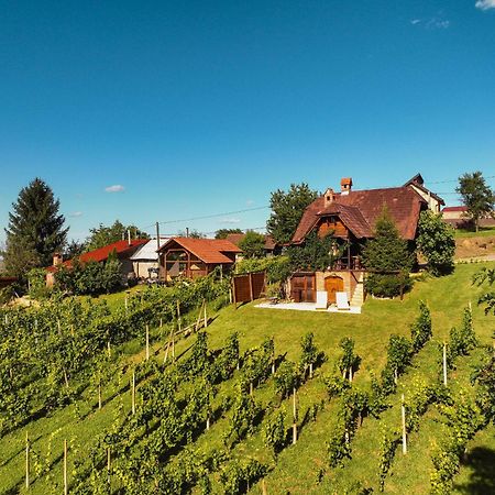 Holiday Home Wine & Relax Sveti Martin Na Muri Gornji Koncovcak Exterior photo